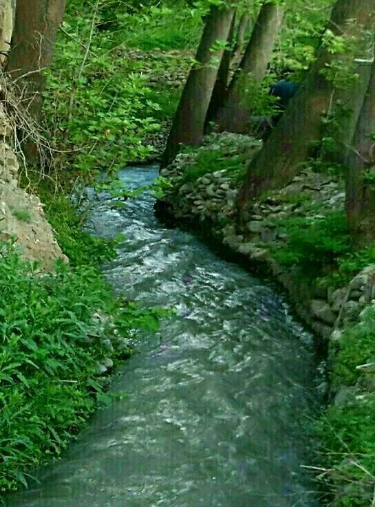 جمعهها مهمان کوچهباغهای محله کن شوید