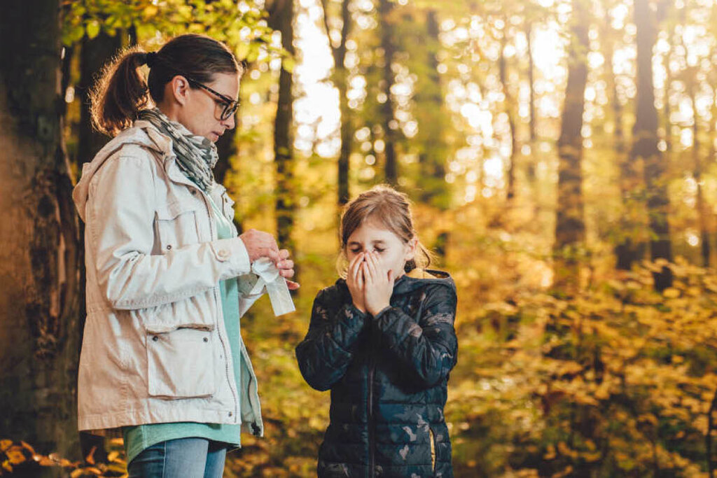 fall allergies - آلرژی فصل پاییز