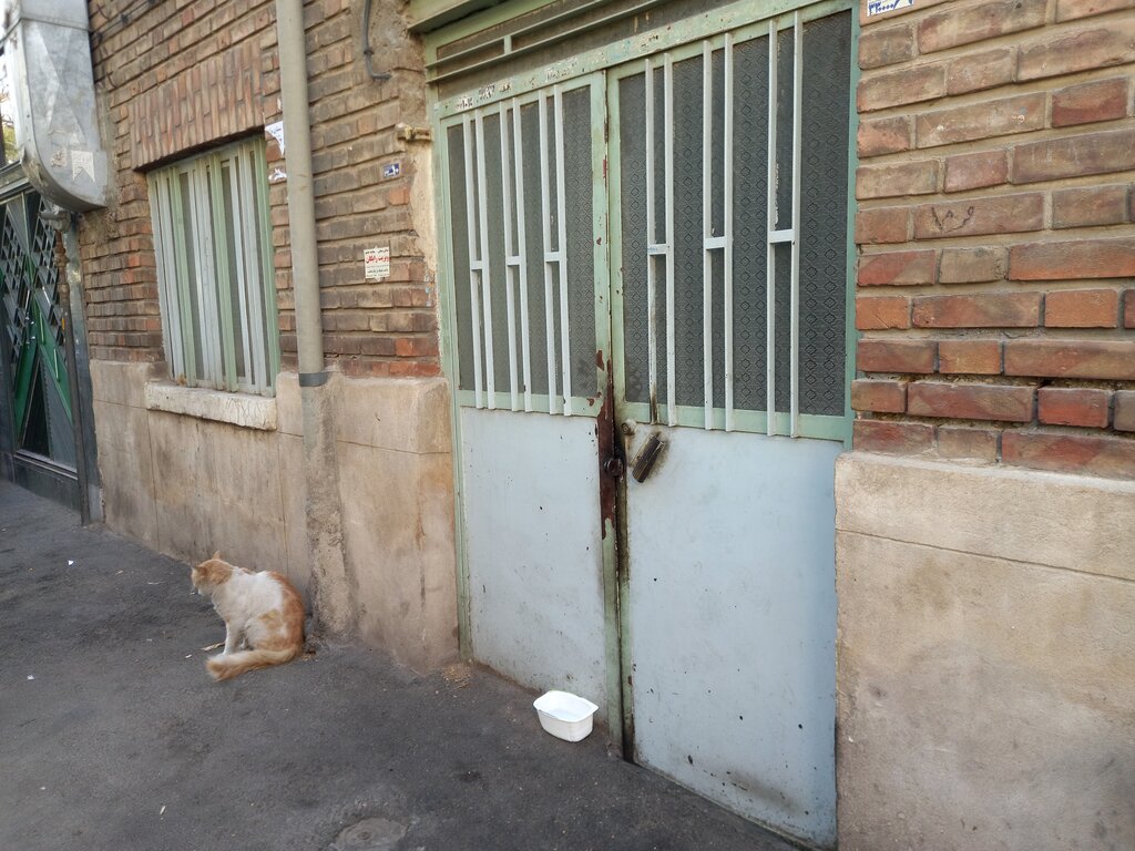 کثیف‌ترین خانه تهران کجاست؟ | اینجا که می‌رسید ماسک‌تان را چندلایه کنید! 