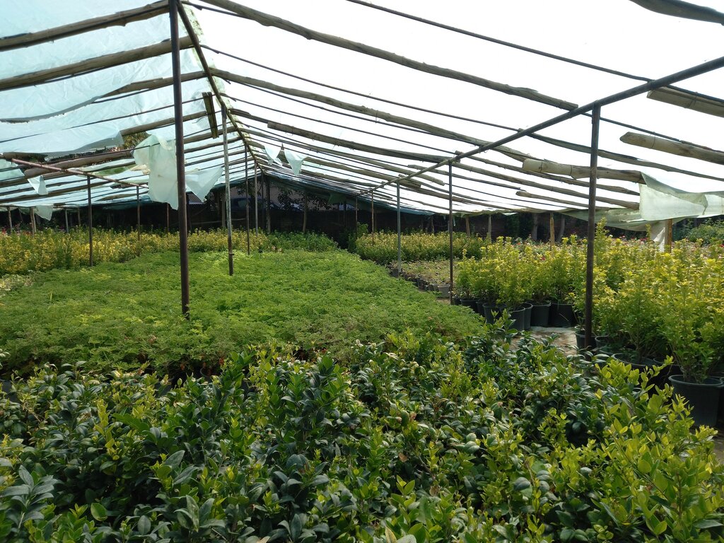 باغهای گل در محاصره خانهها