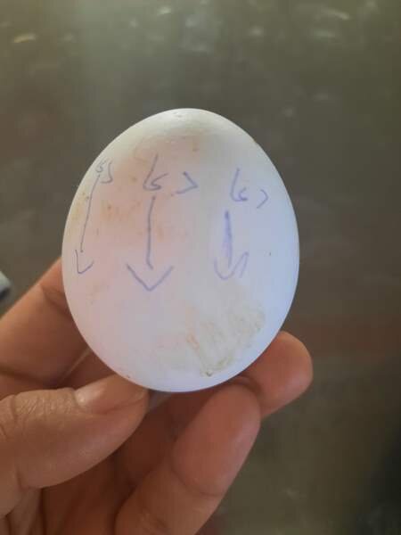 علاج فوری چشمزخم با تخممرغ | الهی بابا قوری بشی با این چشمات!