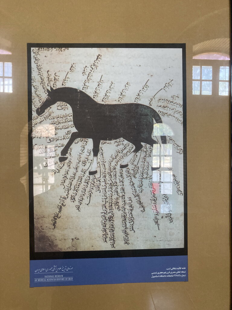 تصاویر |۴۰جمجمه ۵ هزار ساله در نخستین موزه علوم پزشکی | از جسد پیرزن مومیایی شده تا جمجمه پادشاه بهبهان