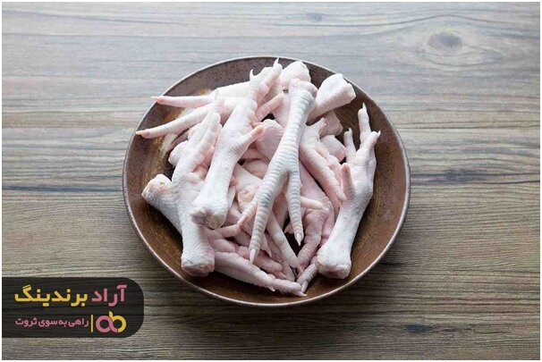 فواید پای مرغ قالبی برای سیستم ایمنی بدن انسان