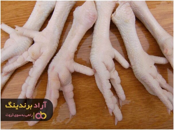 فواید پای مرغ قالبی برای سیستم ایمنی بدن انسان