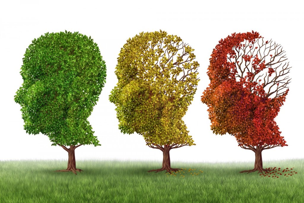 علائم ابتدایی ابتلا به زوال عقل و آلزایمر | چگونه از ابتلا به آلزایمر جلوگیری کنیم؟