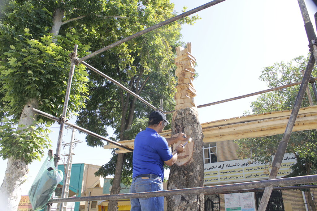 ببینید | هنرمند سنندجی به درختان مرده جان میدهد | نقش کتاب بر پیکر درخت