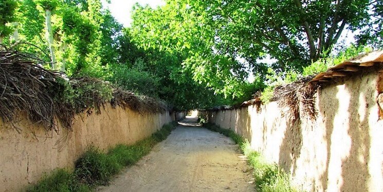 خشکاندن باغات برای رسیدن به درآمدهای نجومی | مافیایی که حکم تخریب برایشان اجرا نمیشود | ضبط باغاتی که توسط مالکان خشک میشوند