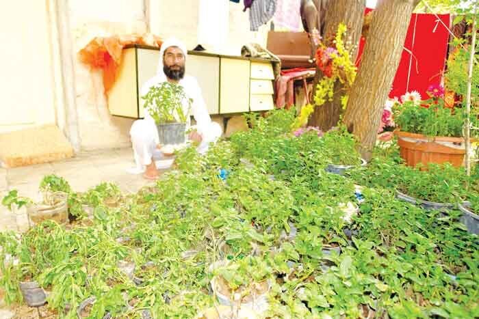 جوانان از زمین های کشاورزی قهر کردهاند | شغل آبا و اجدادی ریشهریها به دست مهاجران افتاده