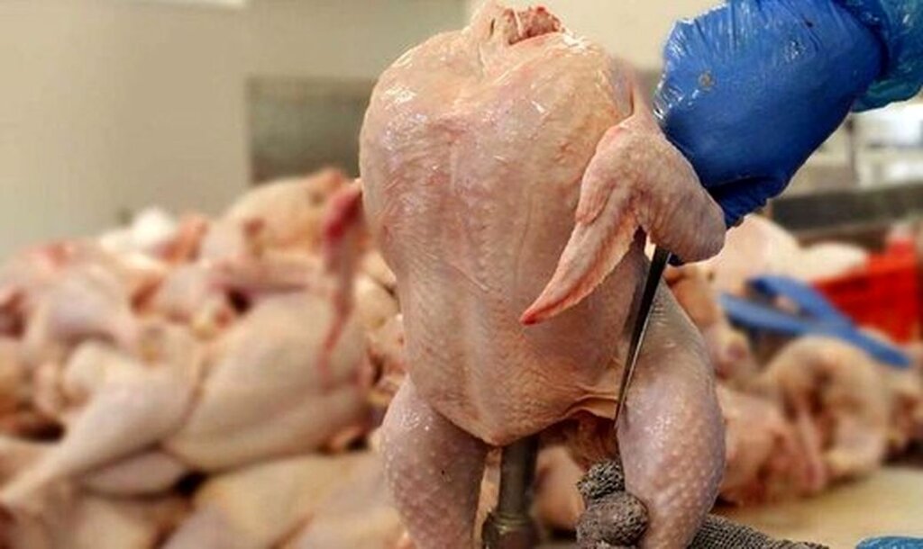 قیمت جدید مرغ گرم | مرغ ۷۰ هزار تومانی گران فروشی است