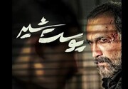 مشکلِ سریال «پوست شیر» حل شد | شهاب حسینی به نمایش خانگی بازمی گردد