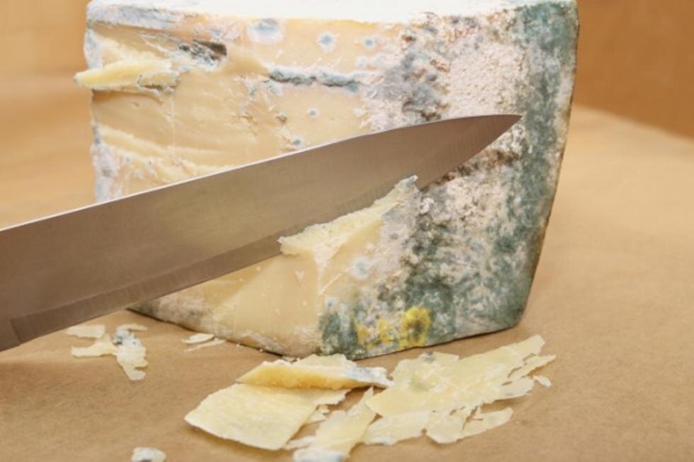 پنیر کپک زده را آیا می‌توان خورد؟