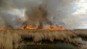 ۴ ماه آتش به جان یک تالاب بین‌المللی | نافرجامی مذاکرات با عراق برای خاموش کردن آتش هورالعظیم