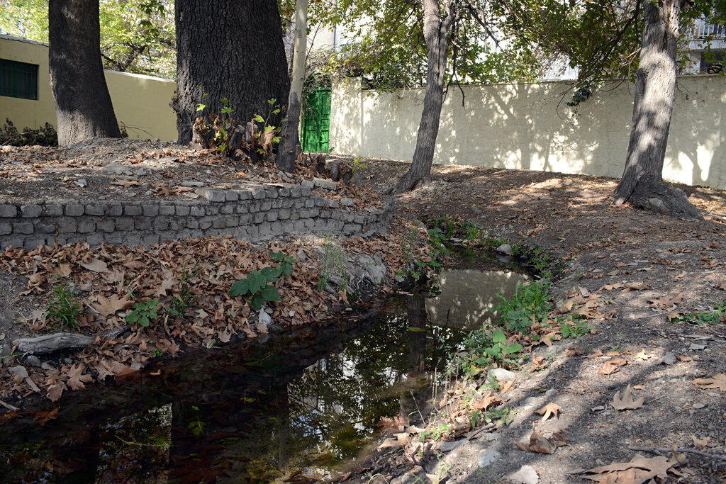 ماجرای ساخت ۹استخر قدیمی پونک چیست؟ |دخترهای پونک کجا شنا میکردند؟