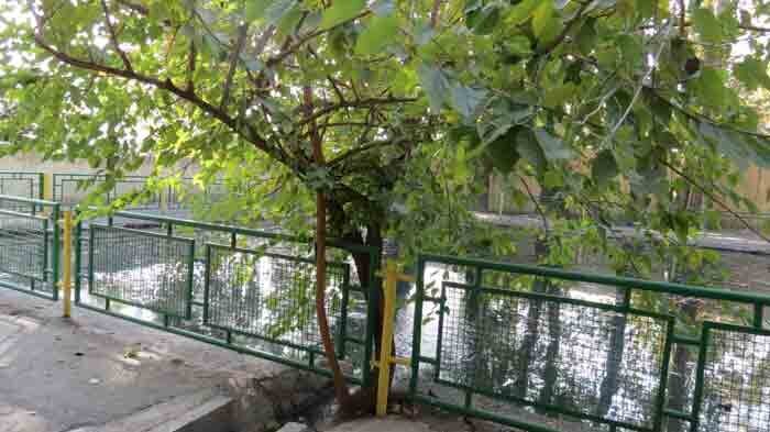 ماجرای ساخت ۹استخر قدیمی پونک چیست؟ |دخترهای پونک کجا شنا میکردند؟