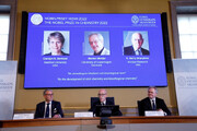 سه دانشمند «شیمی کلیک» برنده جایزه نوبل شدند