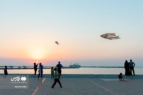 ساحل بادبادکها در بوشهر