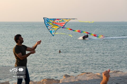 ساحل بادبادکها در بوشهر