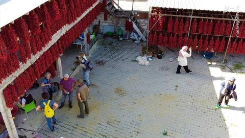 جذب گردشگر با فلفل