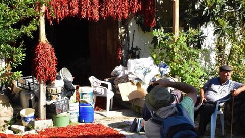 جذب گردشگر با فلفل