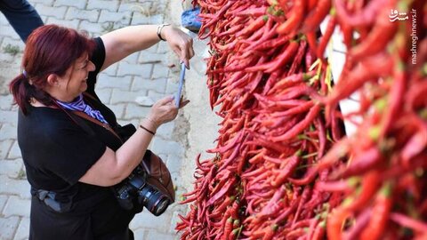 جذب گردشگر با فلفل