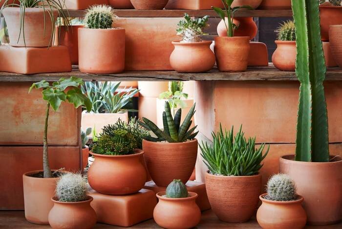 ترفندهایی برای انتخاب گلدان مناسب | یک قاعده کلی برای خرید گلدان | گلدان پلاستیکی بهتر است یا سرامیکی؟