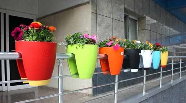 ترفندهایی برای انتخاب گلدان مناسب | یک قاعده کلی برای خرید گلدان | گلدان پلاستیکی بهتر است یا سرامیکی؟