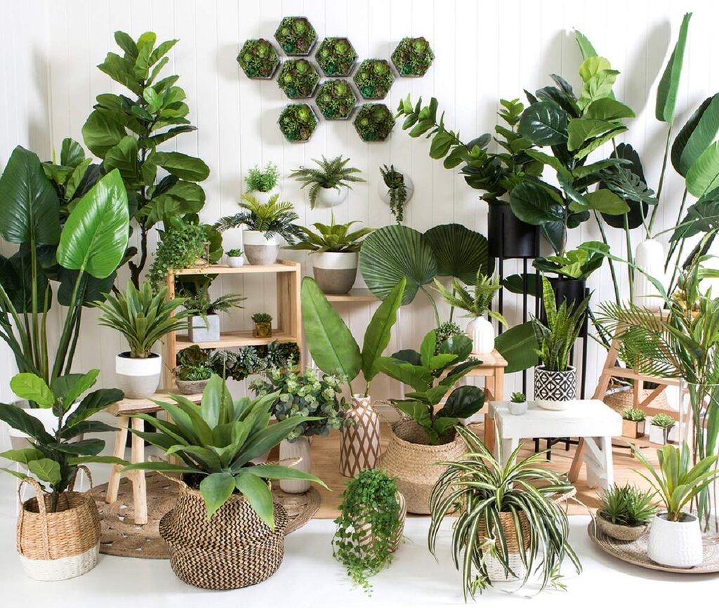 ترفندهایی برای انتخاب گلدان مناسب | یک قاعده کلی برای خرید گلدان | گلدان پلاستیکی بهتر است یا سرامیکی؟