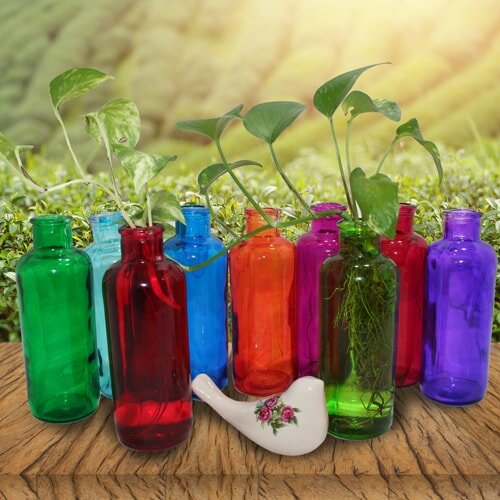 ترفندهایی برای انتخاب گلدان مناسب | یک قاعده کلی برای خرید گلدان | گلدان پلاستیکی بهتر است یا سرامیکی؟