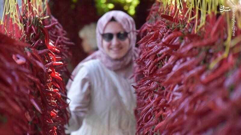 ادویهای معجزهآسا که به کاهش فشار خون و درد مفاصل کمک میکند