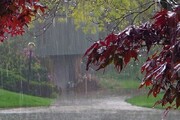 امسال با پاییز خشکی مواجه هستیم؟ |  تازه ترین پیش بینی بارش ها در سال جاری