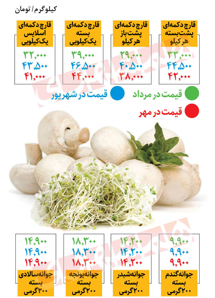 جدیدترین قیمت قارچ در میادین |  قارچ چقدر ارزان شد؟