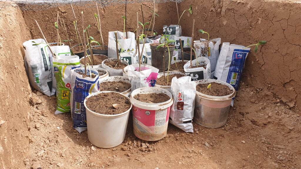 زندگی سبز با ماتیلدا و تیله | همسفر با آرزوهای یک کنشگر محیطزیست