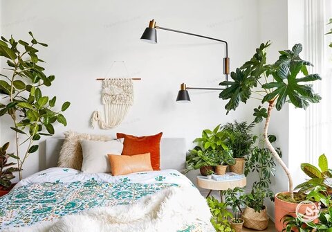 دکوراسیون با گیاهان