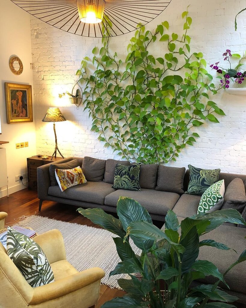 دکوراسیون داخلی با گیاهان: طبیعت را به خانه بیاورید 2 همشهری آنلاین - تصاویر | ۹ ایده دکوراسیون خانه با گیاهان | خانه خود را با گل و گیاه سبز کنید