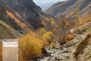 ببینید | پاییز رنگارنگ بدون فیلتر | این روستای زیبا در نزدیکی تهران است | آهنگ پاییز از حجت اشرف زاده را بشنوید