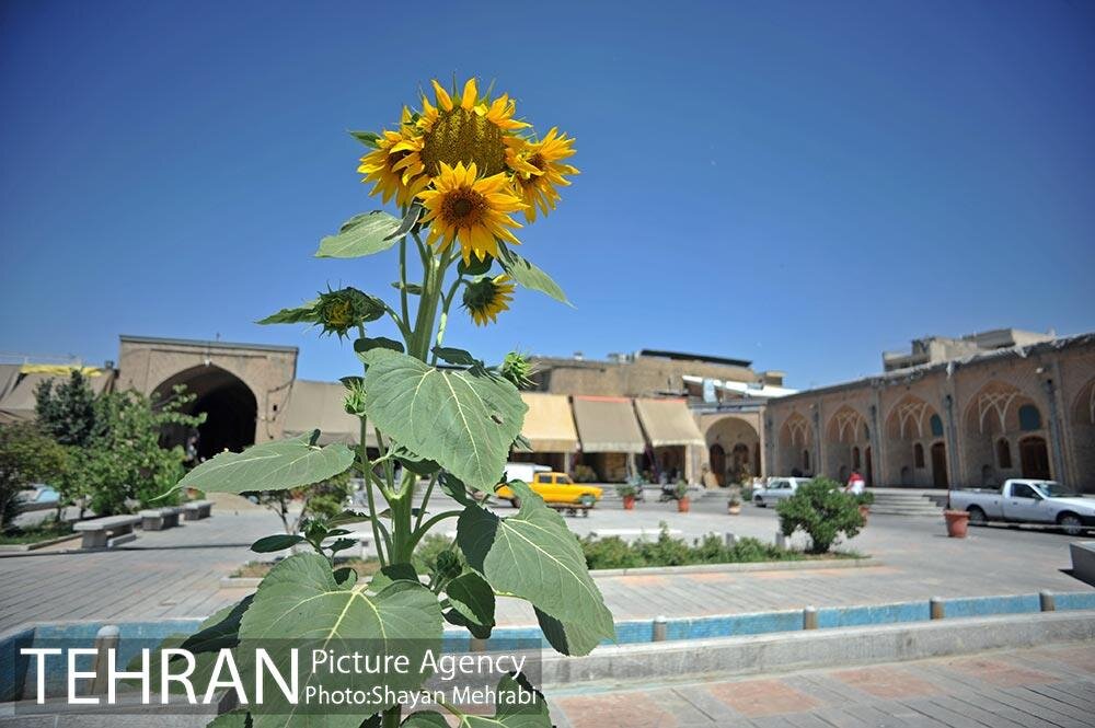 نخستین هتل باشکوه طهران قدیم | انتخاب «میلانی» برای «یکی از ما دونفر» | مسیرهای دسترسی به بزرگترین کاروانسرای تهران