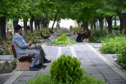 علت کاهش تمایل شهروندان تهرانی برای رفتن به پارک | تجمع معتادان متجاهر یکی از علت ها