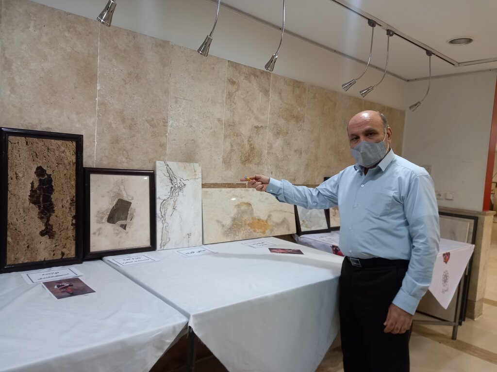 این هنرمند، اولین مجموعه نقشسنگ جهان را جمعکردهاست | ۱۴ سال در جستوجوی حاجی فیروز و پینوکیو