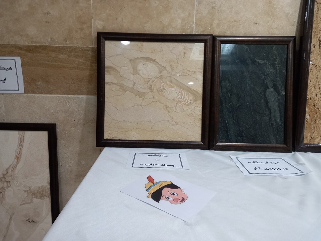 این هنرمند، اولین مجموعه نقشسنگ جهان را جمعکردهاست | ۱۴ سال در جستوجوی حاجی فیروز و پینوکیو