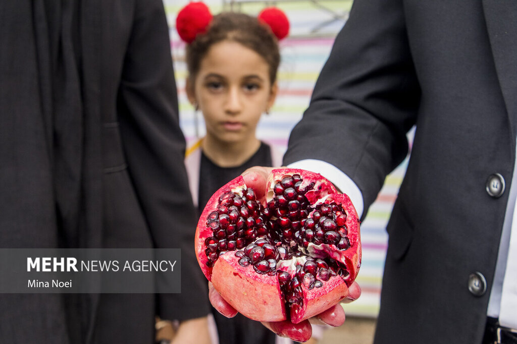 چطور انار را پوست بکنیم ؟ + ویدئو | بهترین و سریعترین روش پوست کندن انار بدون کثیفکاری