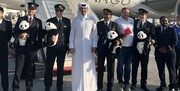 عکس | خرسی که میهمان ویژه جام جهانی ۲۰۲۲ قطر شد