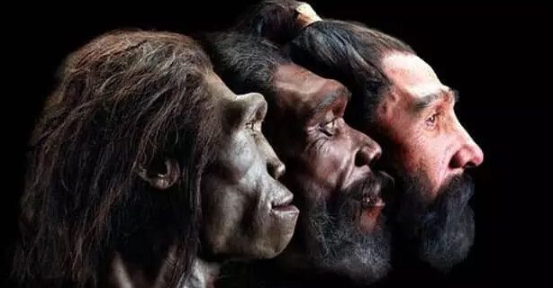 تصاویر گونه منقرض شده انسان که در لهستان کشف شد | ویژگی این انسان‌ها چه بود؟