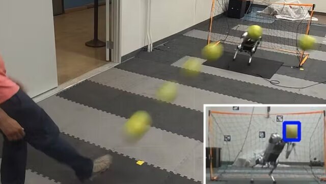 عکس و فیلم | ربات حیرتانگیز رقیب فوتبالیستها در آینده! | سگ دروازهبان بهتر از گلرهای انگلیس!