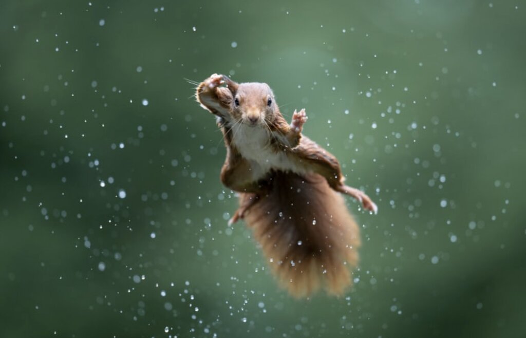 این یک جهش بزرگ است.