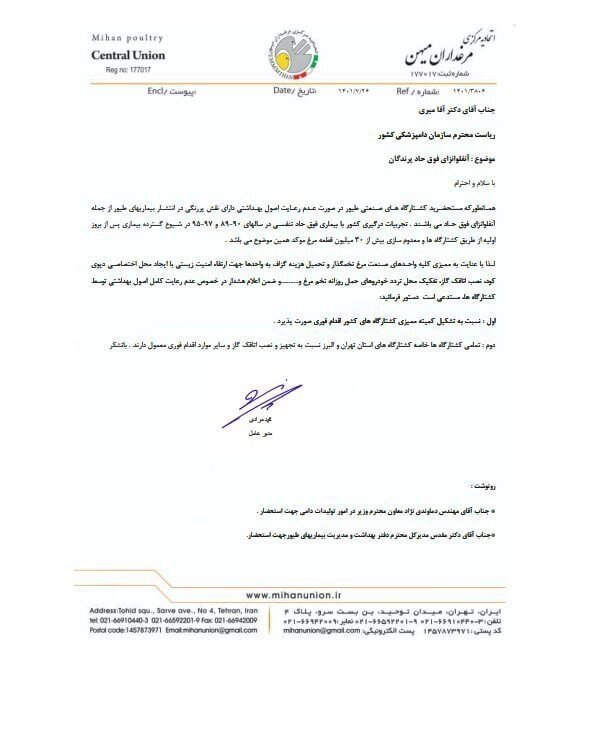 هشدارها جدی است ؛ آنفوآنزای فوقحاد پرندگان در راه کشور | حذف گله های مرغ بالای ۹۰ روزه؟