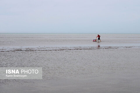 ساحل کودک - روستای چارقلی گلستان