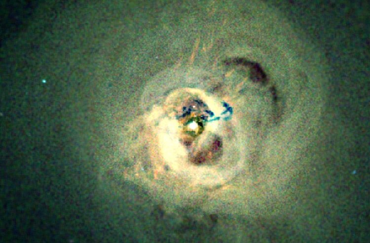 خوشه برساووش