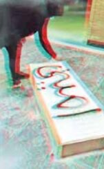 عکس | جسارت یک زن به مزار شهدای گمنام در تهران