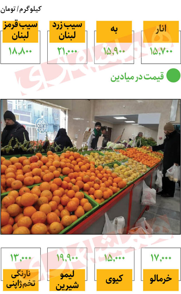 قیمت جدید انواع میوههای فصل در میادین | انار، خرمالو و لیمو شیرین کیلویی چند؟