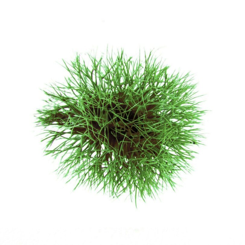 باارزشترین هدیه تولد جهان در پایتخت | سرپرستی بذرهای نایاب کشور را به عهده بگیرید